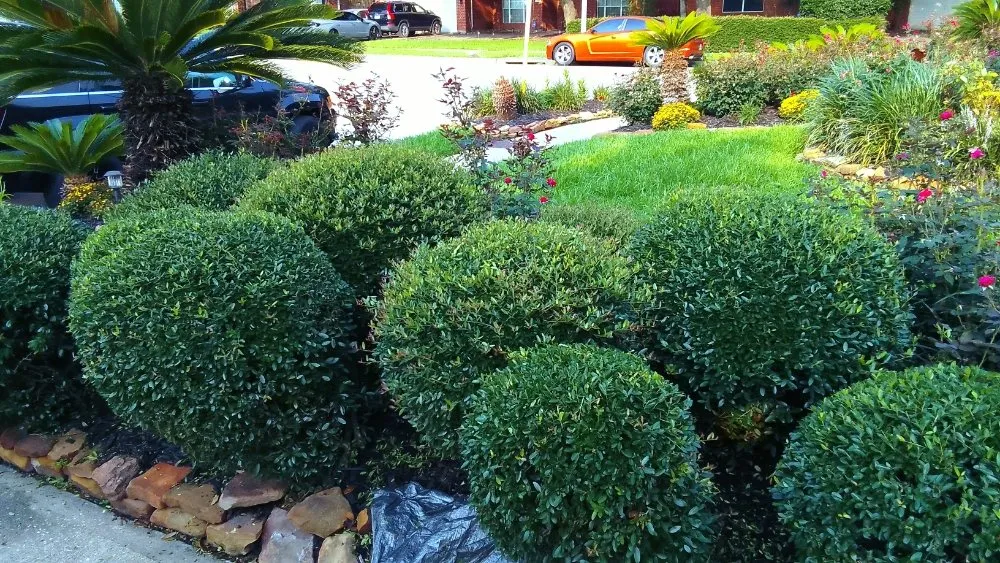 Affordable garden landscaping for homes in Galena Park, TX by After Care Express SVC Landscaping & Maintenance