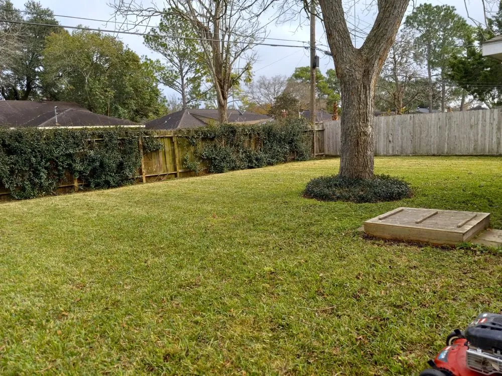 Top-rated outdoor landscaping for outdoor upgrades across Galena Park, TX - After Care Express SVC Landscaping & Maintenance