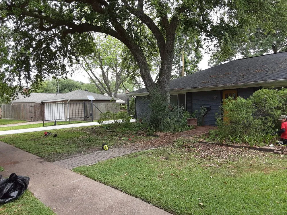 Reliable yard cleanup service in Galena Park, TX by After Care Express SVC Landscaping & Maintenance