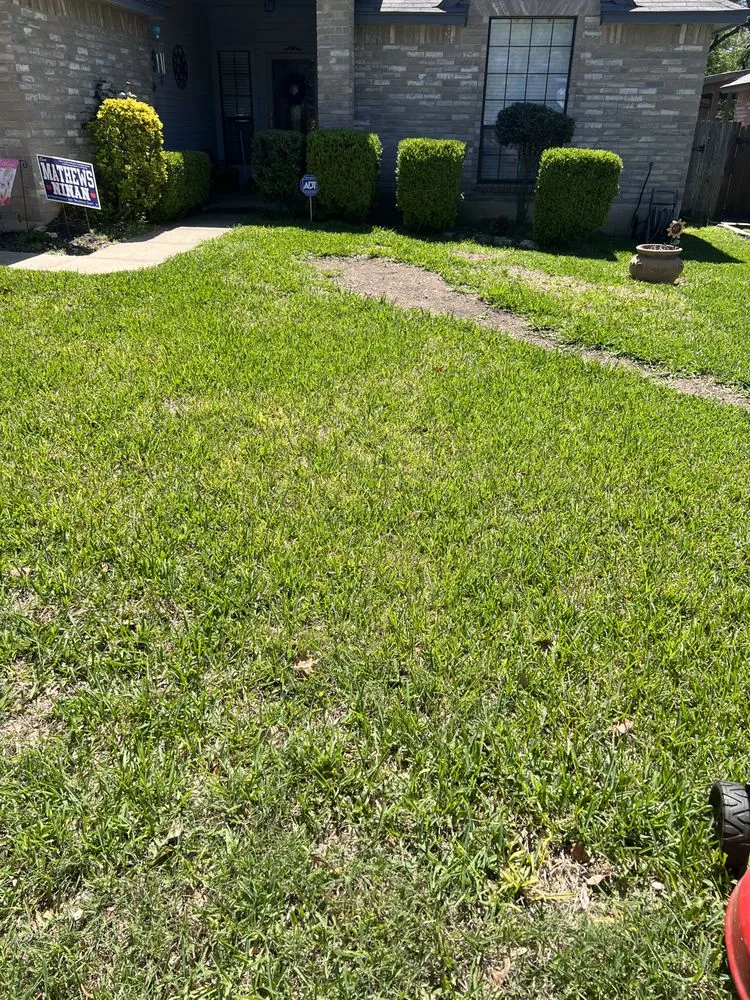 Custom lawn mowing service in Atascosa, TX - After Excellence Lawn Service