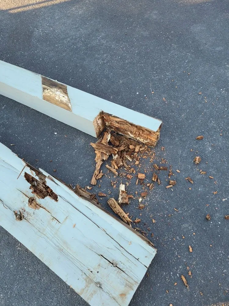 Local lawn mowing service for outdoor upgrades across Williamsport, MD - After Hours Maintenance