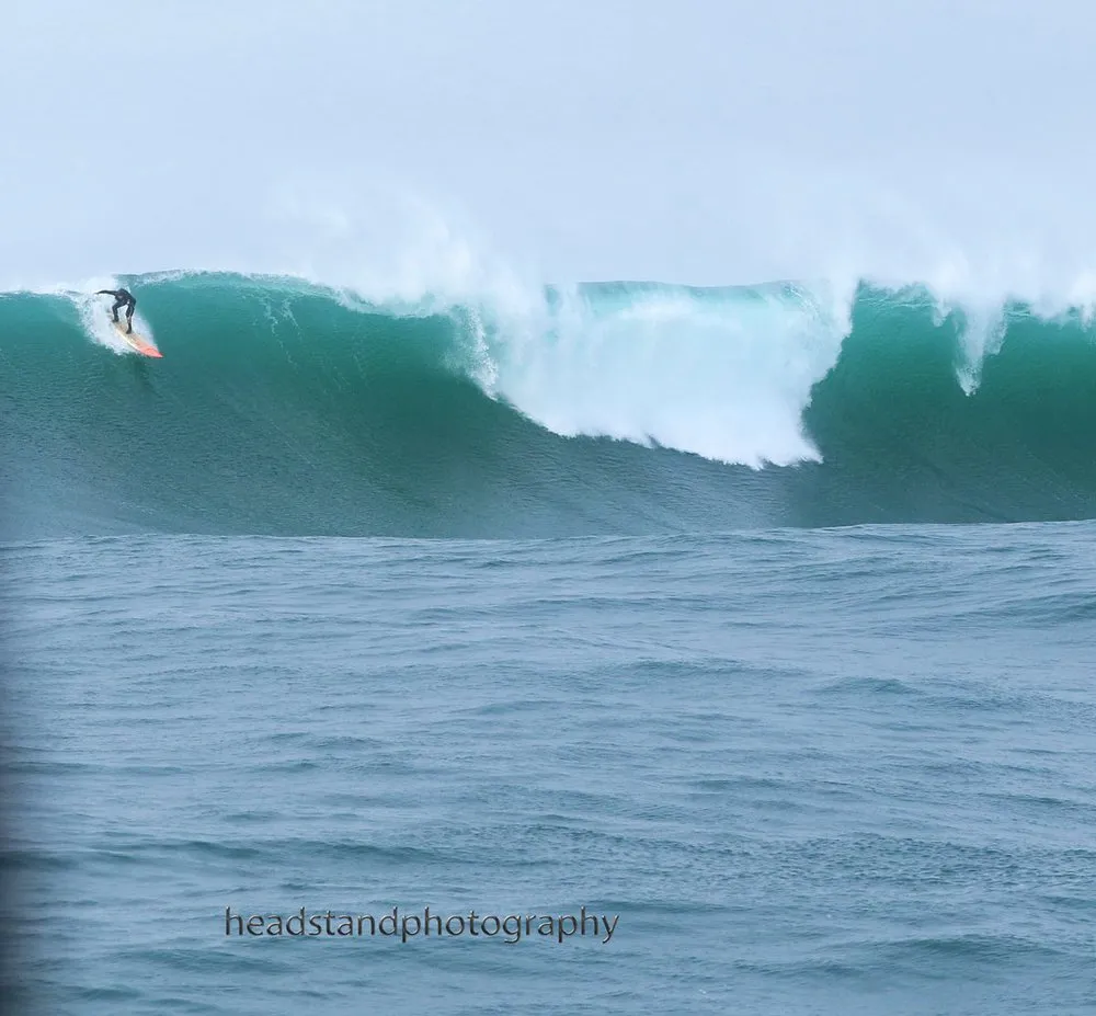 Reliable yard cleanup service in Newport, OR - After The Morning Surf Lawn Service