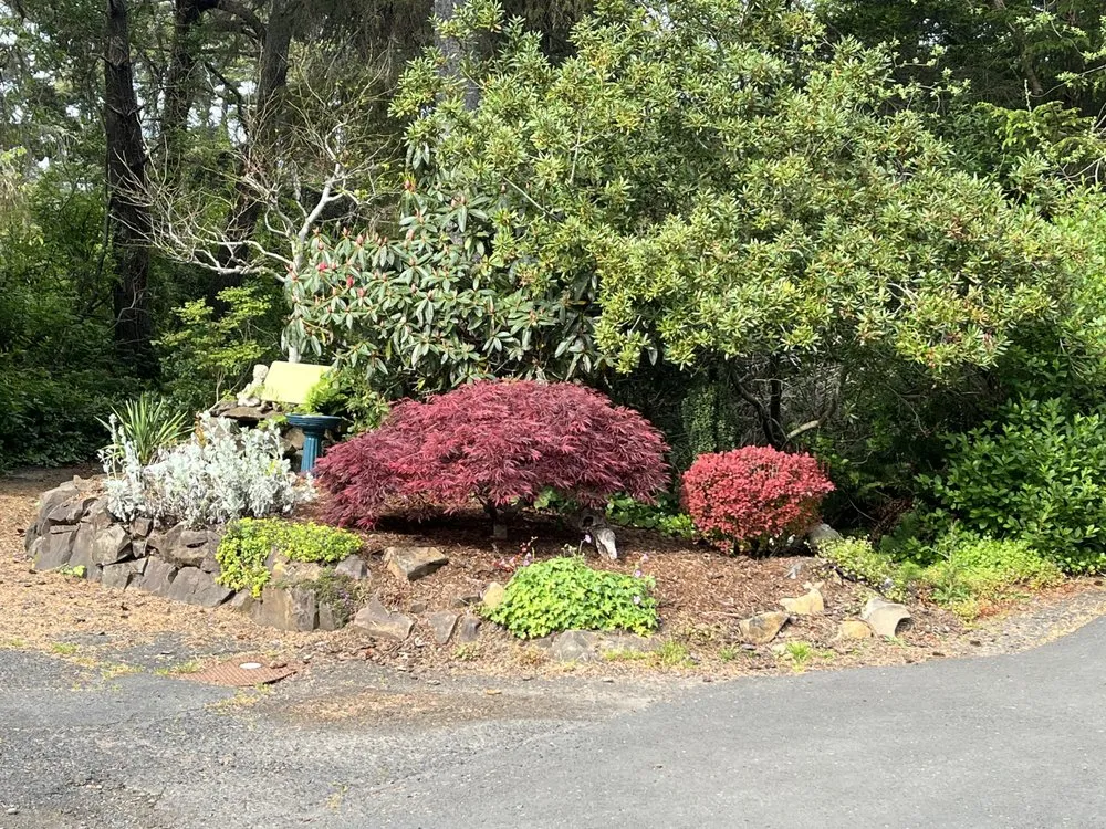 Professional yard cleanup service near you across Newport, OR - After The Morning Surf Lawn Service