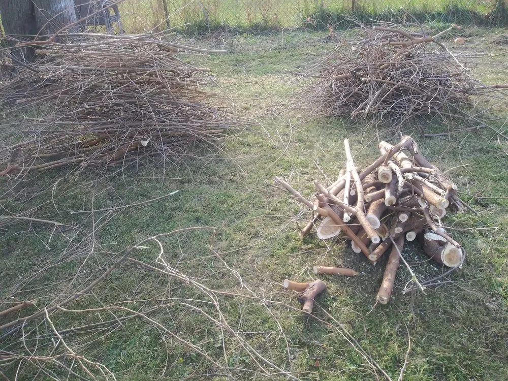 Custom residential landscaping in River Rouge, MI - After The Storm Lawn and Snow Service