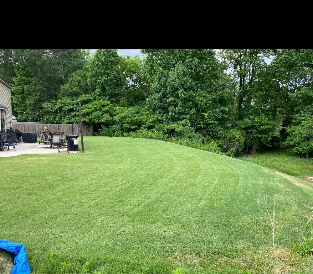 Professional outdoor landscaping for homes in Simpsonville, SC by Aftermath Landscaping