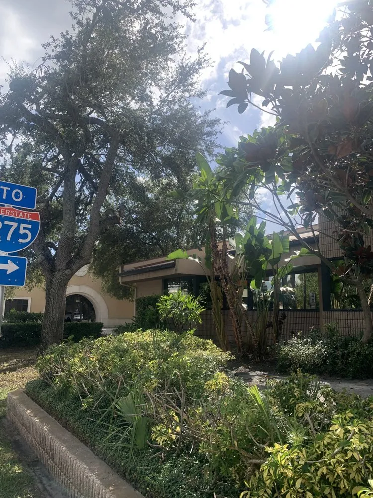 Local residential landscaping in St. Petersburg, FL by Aftermath Tree and Landscape