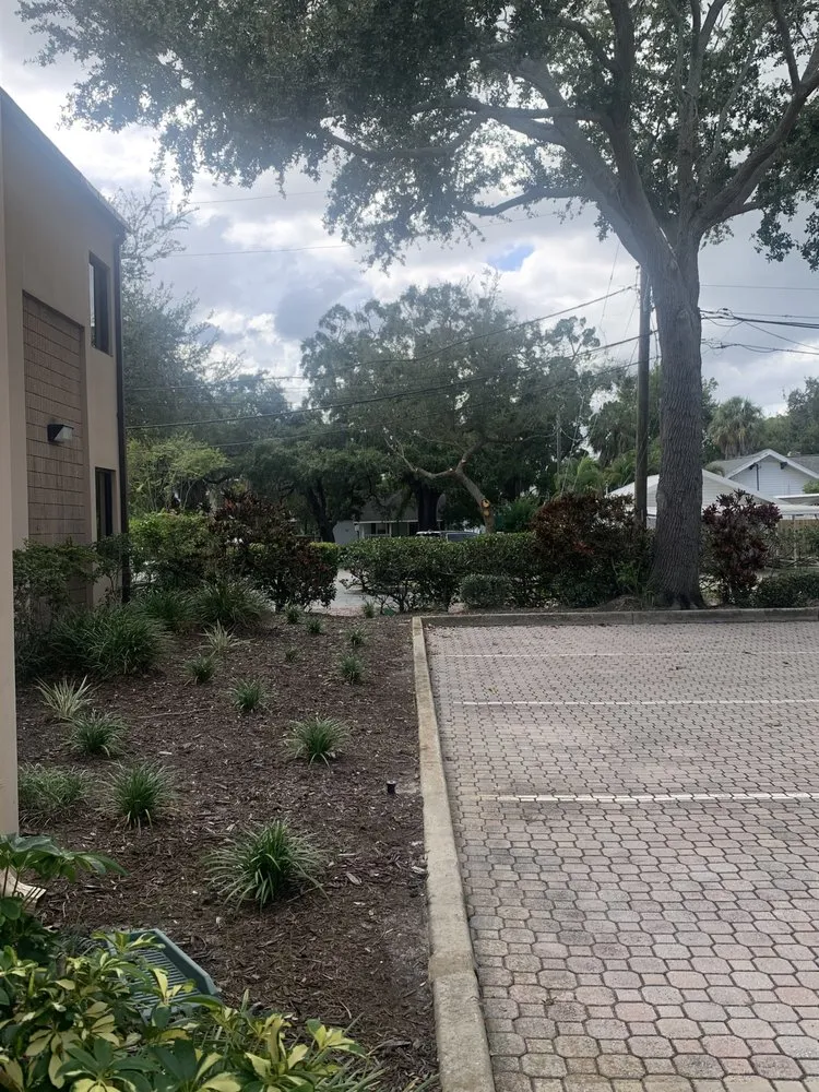 Local lawn mowing service in St. Petersburg, FL by Aftermath Tree and Landscape