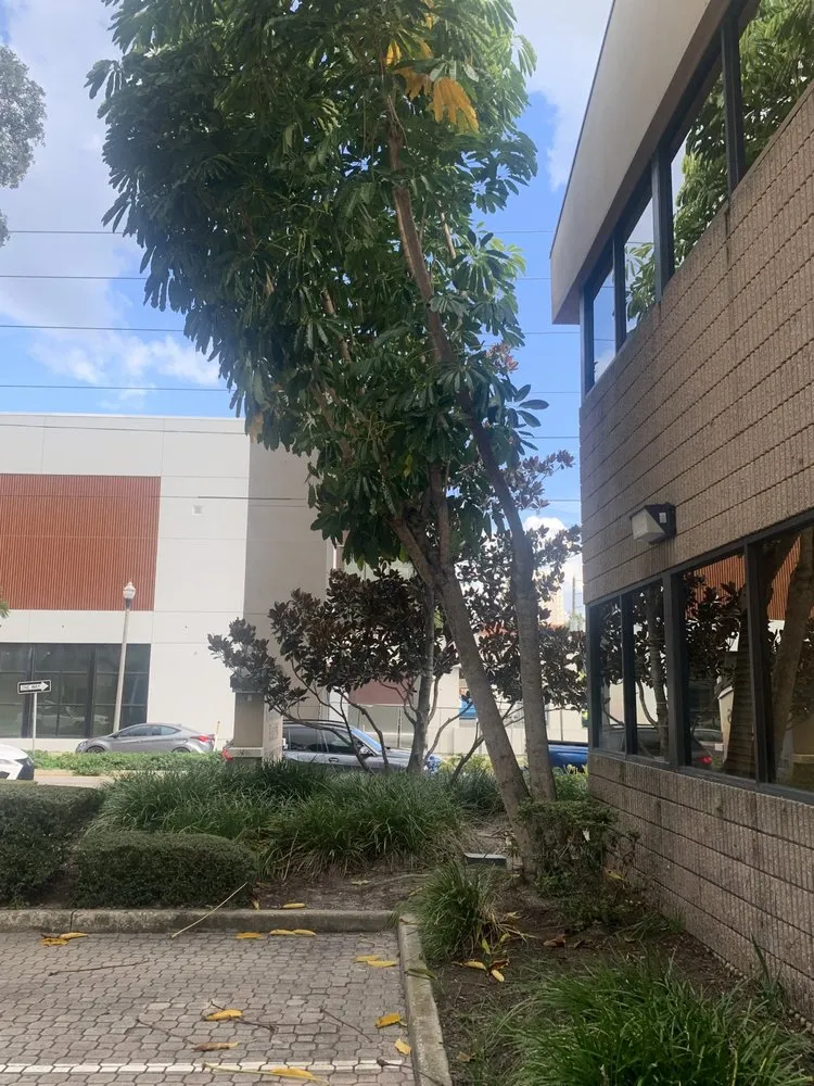 Expert residential landscaping experts serving St. Petersburg, FL - Aftermath Tree and Landscape