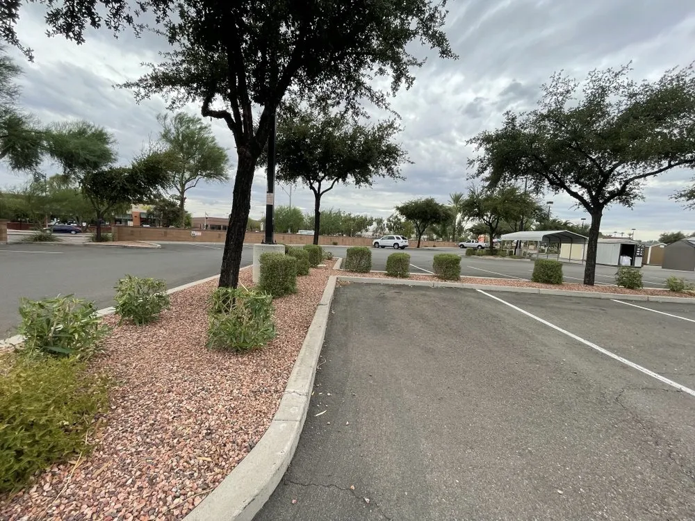 Affordable yard maintenance experts serving Glendale, AZ - Afternoon Clearout