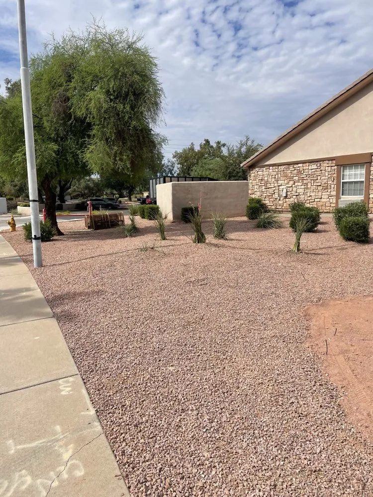 Expert yard cleanup service for residential properties across Glendale, AZ - Afternoon Clearout