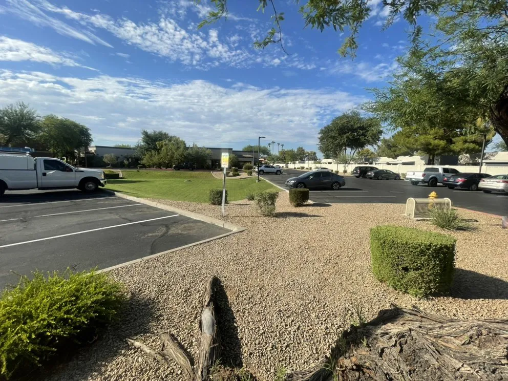 Affordable lawn care service experts serving Glendale, AZ - Afternoon Clearout