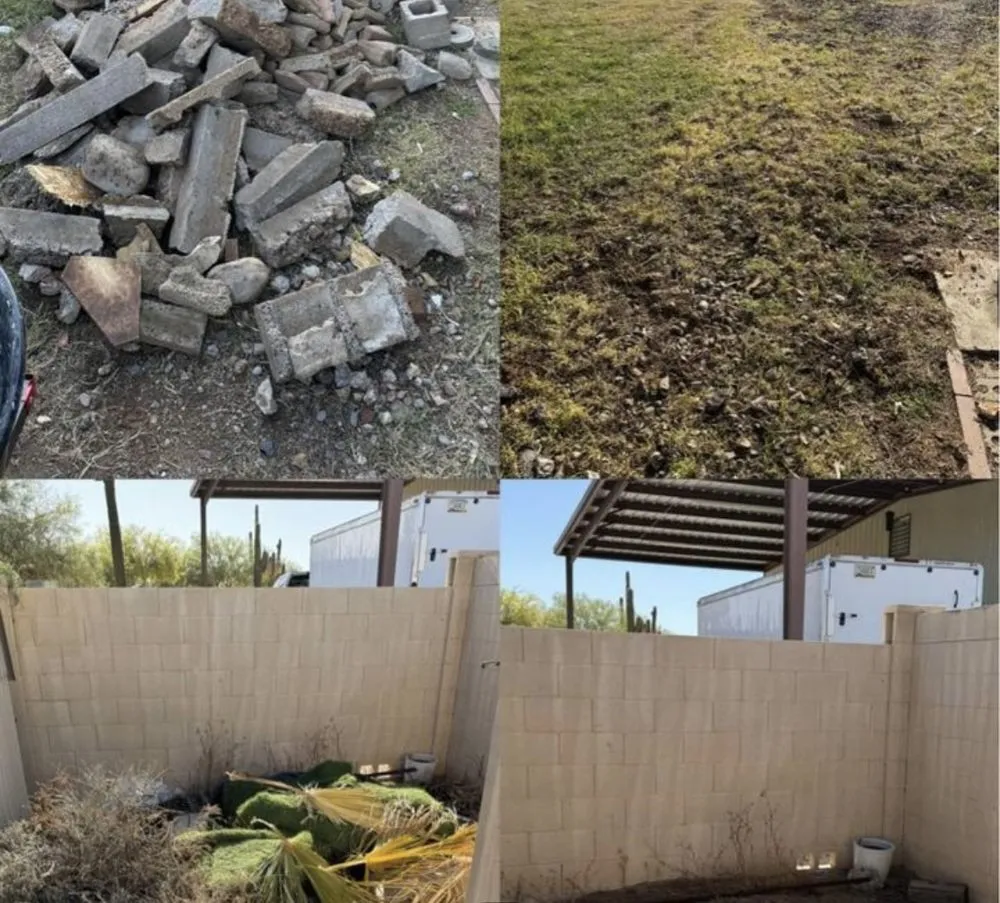 Top-rated yard cleanup service for year-round maintenance in Glendale, AZ by Afternoon Clearout