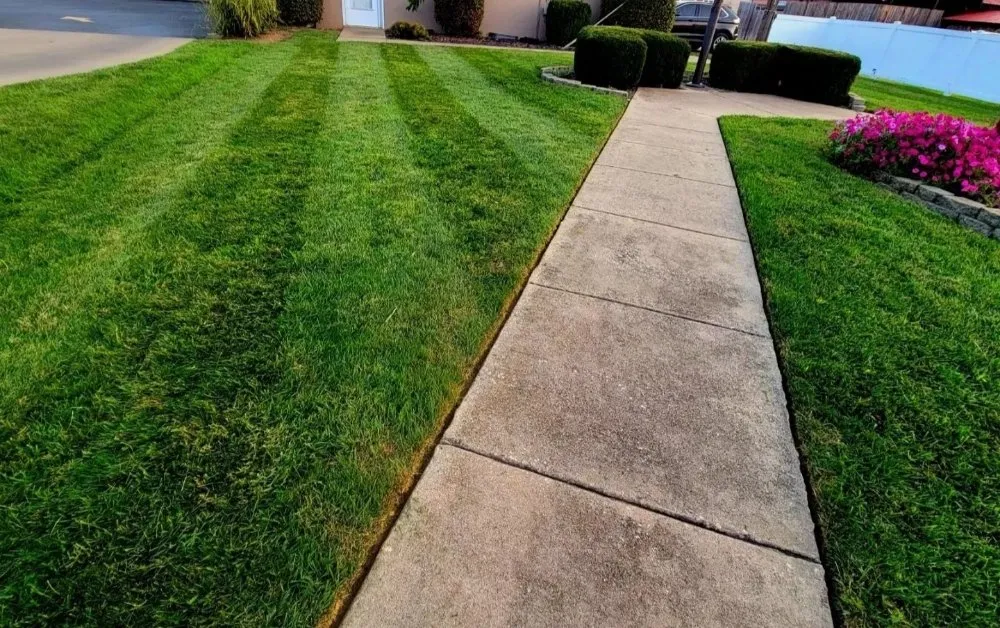 Local outdoor landscaping in Los Angeles, CA - AG Battery Powered Lawn Care