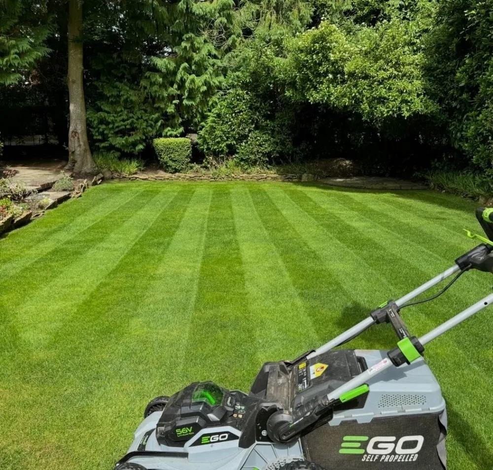 Local yard maintenance experts serving Los Angeles, CA - AG Battery Powered Lawn Care