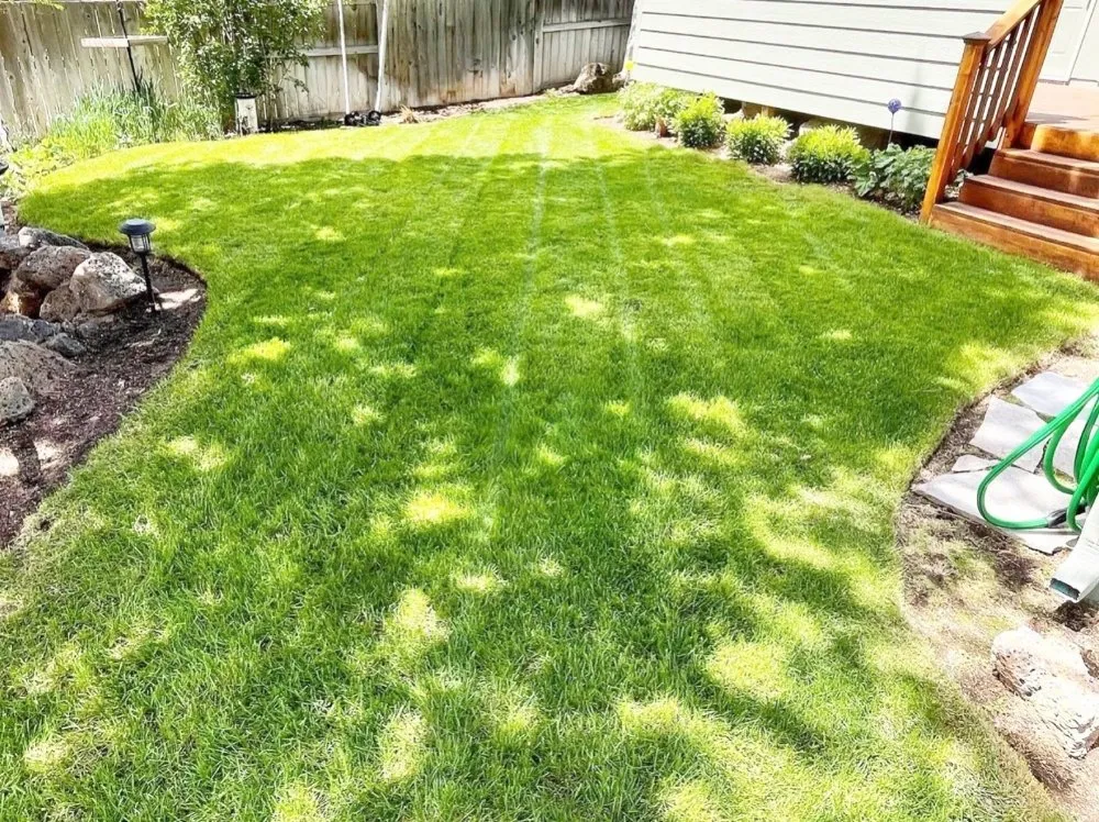 Custom landscape design for outdoor upgrades across Los Angeles, CA - AG Battery Powered Lawn Care