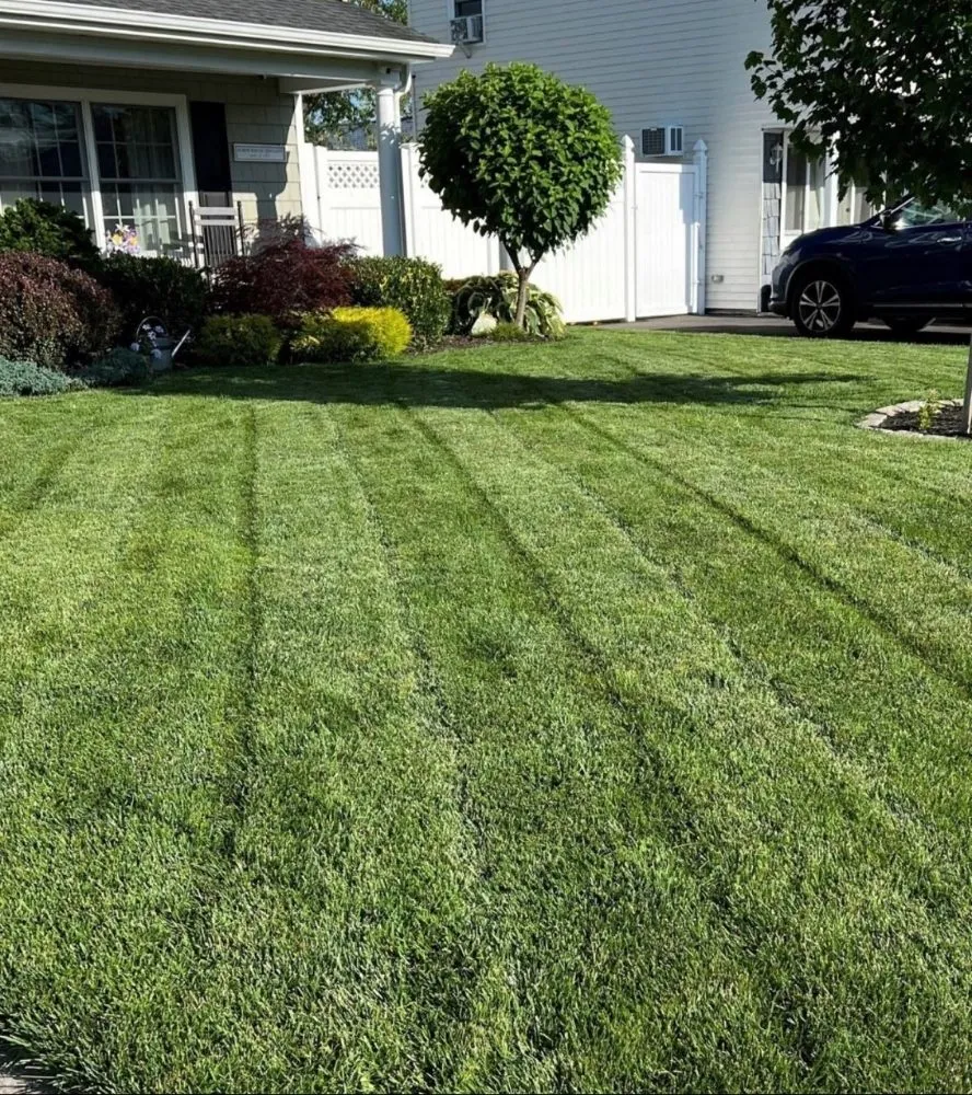 Custom landscape installation for year-round maintenance across Los Angeles, CA - AG Battery Powered Lawn Care