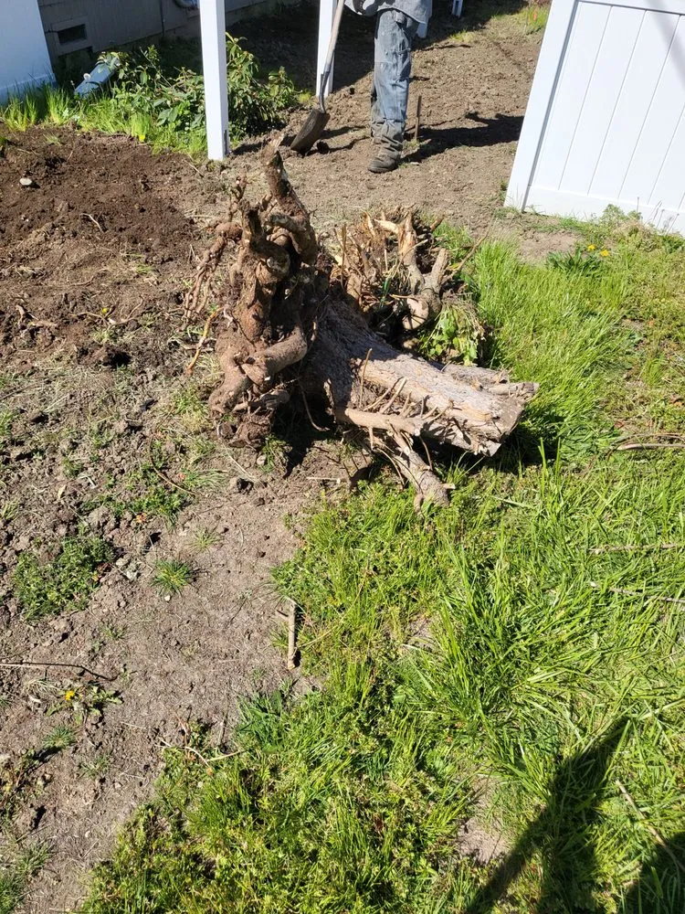 Custom landscape design experts serving Central Point, OR - AG Brothers Maintenance