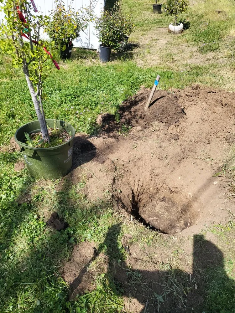 Top-rated landscape installation for homes across Central Point, OR - AG Brothers Maintenance