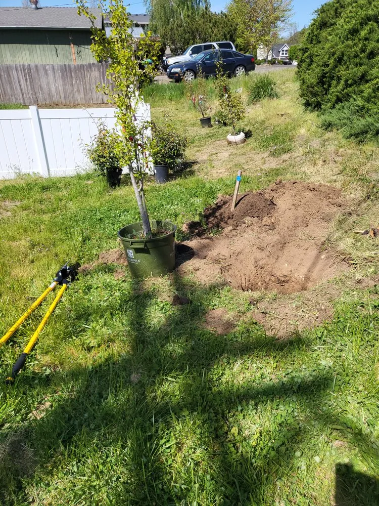 Professional landscape design for year-round maintenance in Central Point, OR by AG Brothers Maintenance