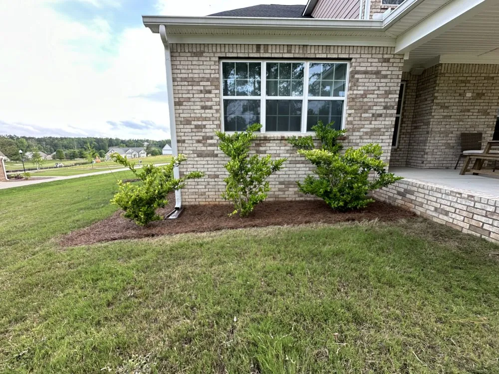 Expert yard cleanup service in North Augusta, SC - AG Cares