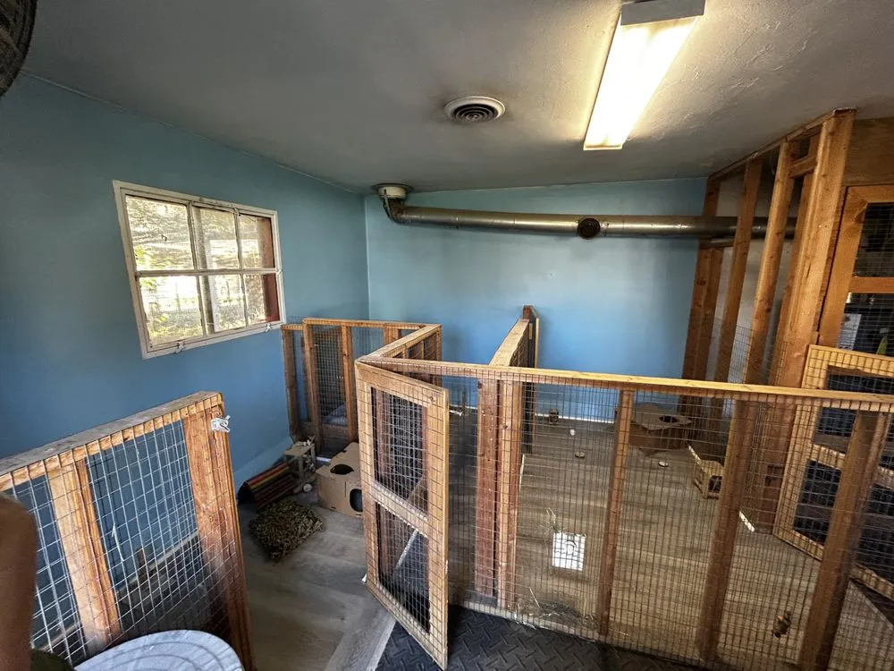 Affordable yard cleanup service experts serving Hopewell Junction, NY - A&G Construction and Landscaping