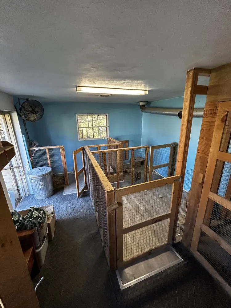 Professional landscape installation with custom design in Hopewell Junction, NY by A&G Construction and Landscaping