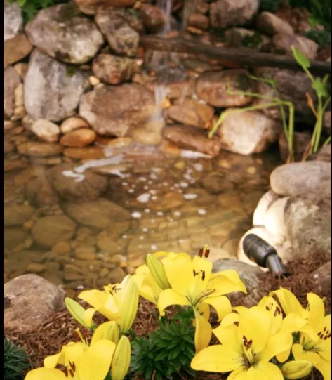 Trusted outdoor landscaping for beautiful yards across Cypress, TX - AG Dream