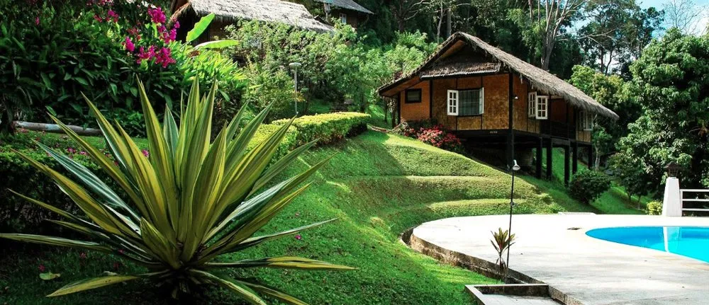 Custom lawn care service in Cypress, TX by AG Dream