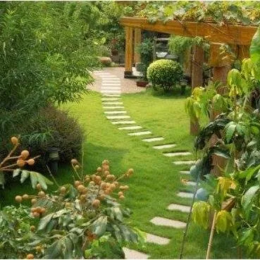 Top-rated landscape installation for beautiful yards in Cypress, TX by AG Dream