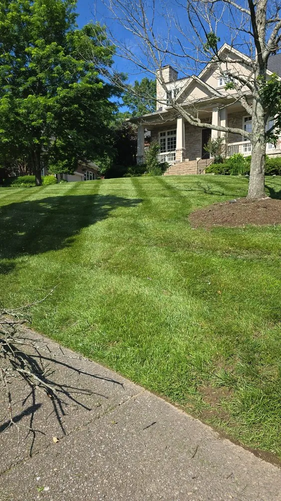 Trusted yard maintenance in Nunnelly, TN - AG Estate Landscaping
