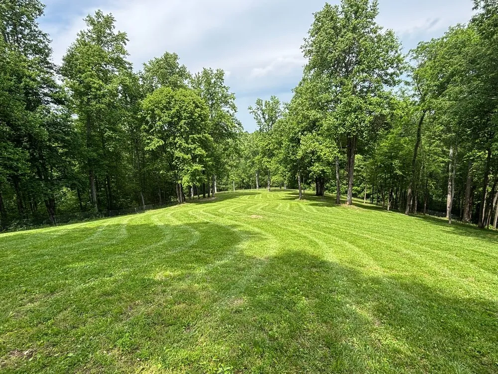 Affordable landscape design for outdoor upgrades across Nunnelly, TN - AG Estate Landscaping