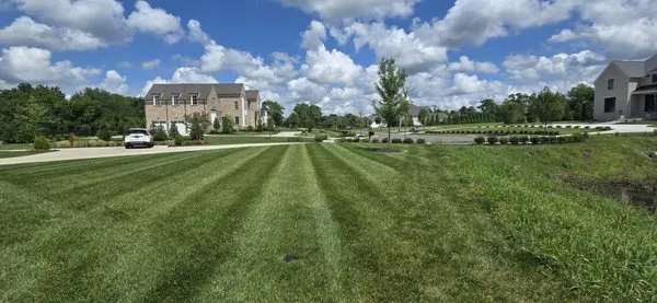 AG Estate Landscaping Logo