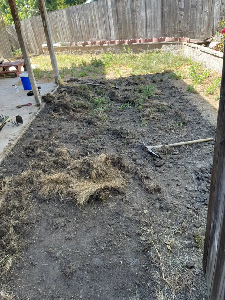 Affordable landscape design in Hayward, CA by AG Garden Maintenance & Landscape Services