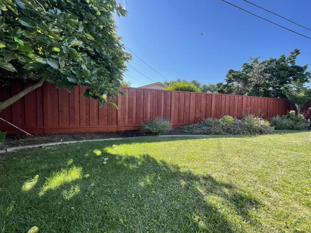 Top-rated landscape design experts serving Hayward, CA - AG Garden Maintenance & Landscape Services