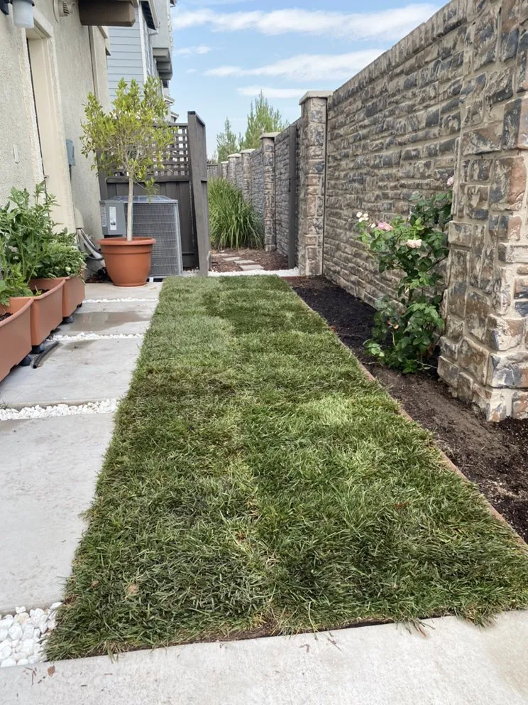 Top-rated landscape design in Hayward, CA by AG Garden Maintenance & Landscape Services