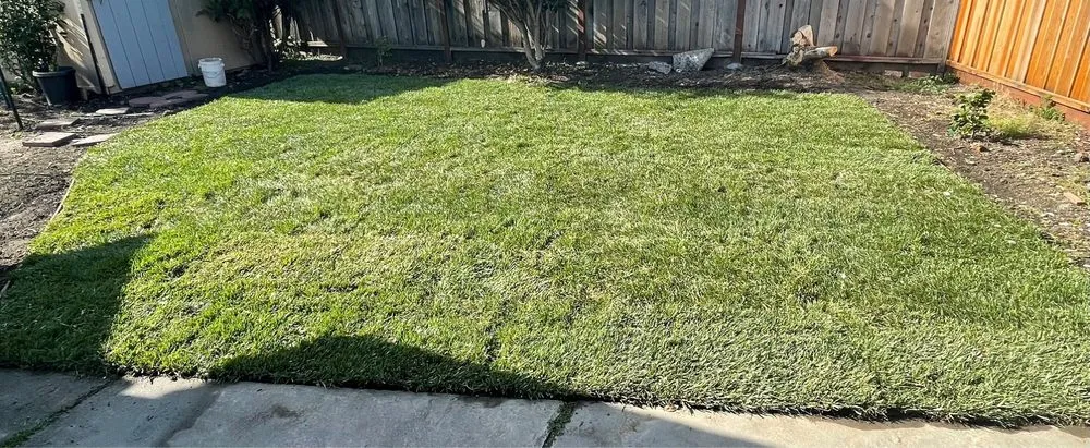 Affordable residential landscaping experts serving Hayward, CA - AG Garden Maintenance & Landscape Services