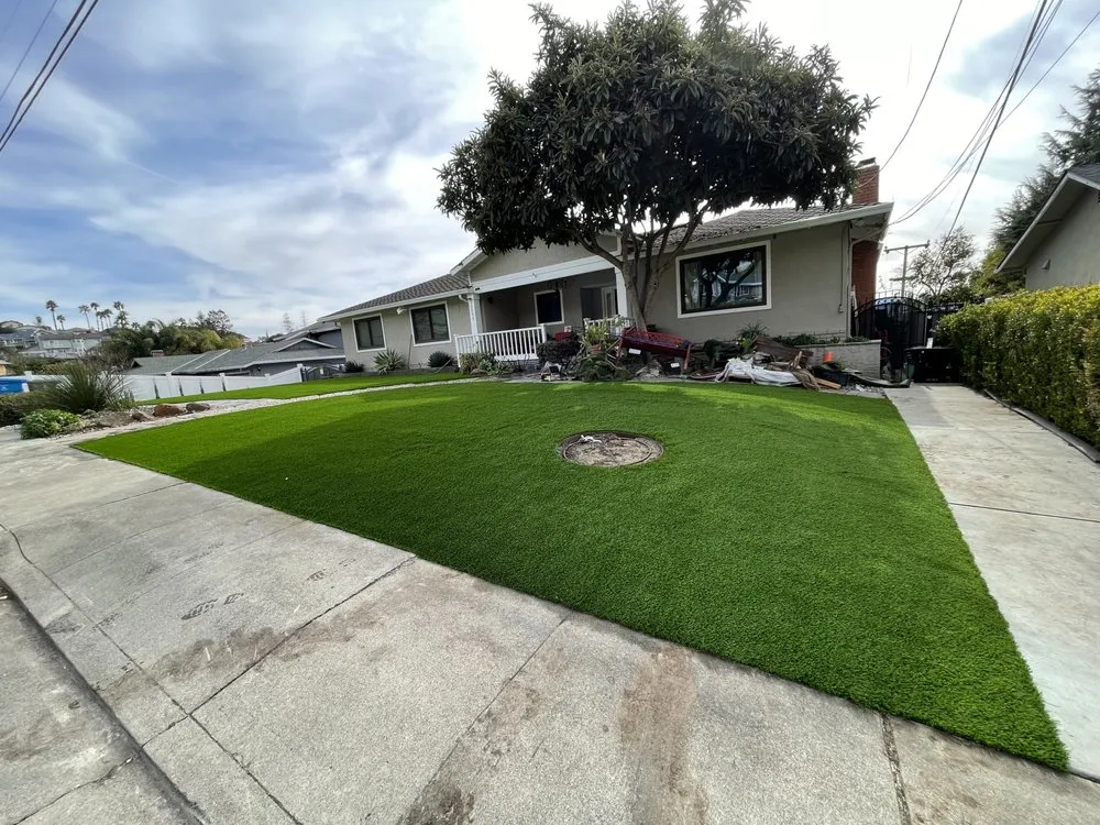 Top-rated yard cleanup service in Hayward, CA by AG Garden Maintenance & Landscape Services