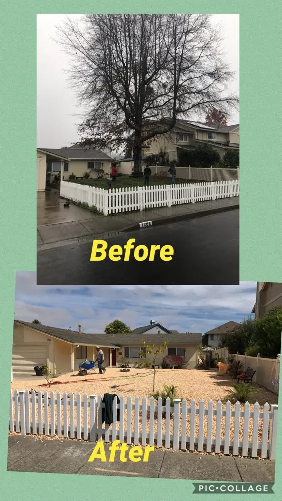 Local yard cleanup service experts serving Rohnert Park, CA - AG General Landscaping