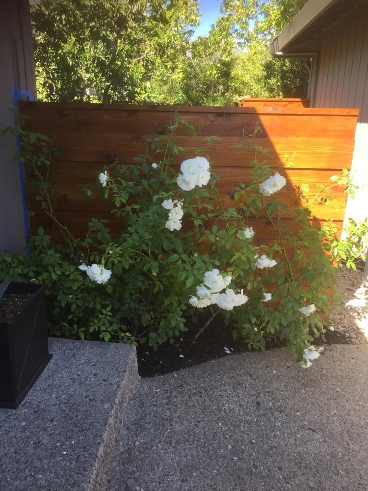 Reliable garden landscaping near you across Rohnert Park, CA - AG General Landscaping