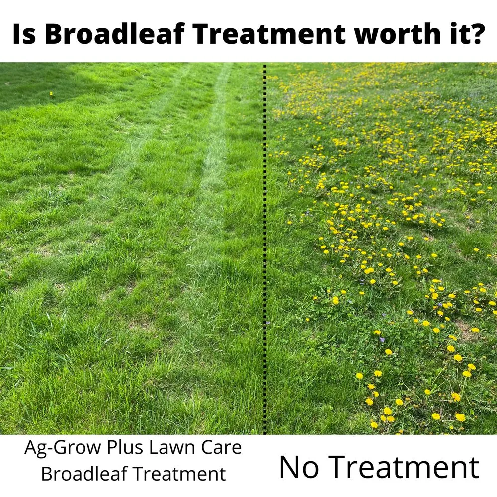 Custom lawn care service in Newton, IA - Ag-Grow Plus Lawn Care