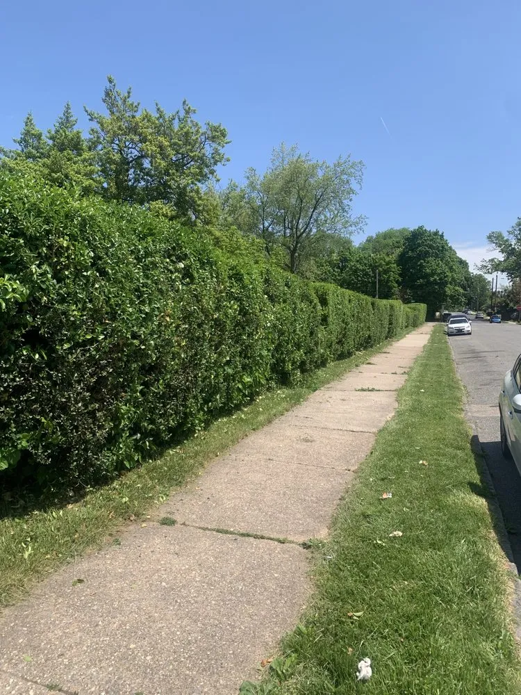 Trusted outdoor landscaping experts serving Philadelphia, PA - AG House Solutions