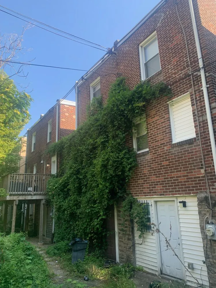 Affordable residential landscaping for outdoor upgrades in Philadelphia, PA by AG House Solutions