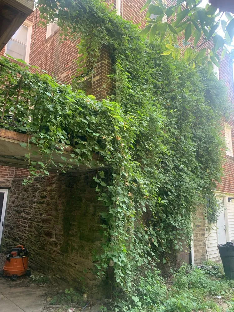 Trusted lawn care service near you across Philadelphia, PA - AG House Solutions