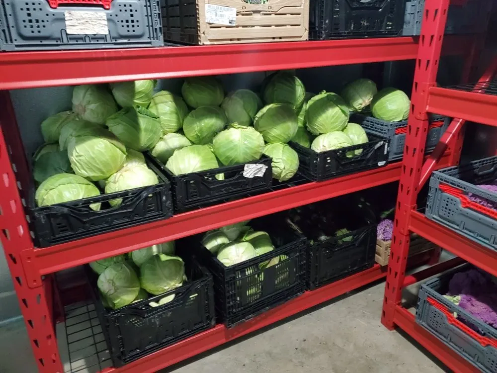 Top-rated landscape design experts serving Riverside, CA - AG IPM