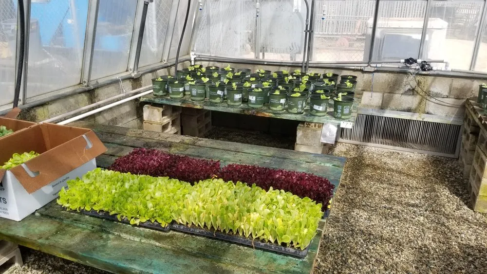 Affordable yard maintenance in Riverside, CA by AG IPM