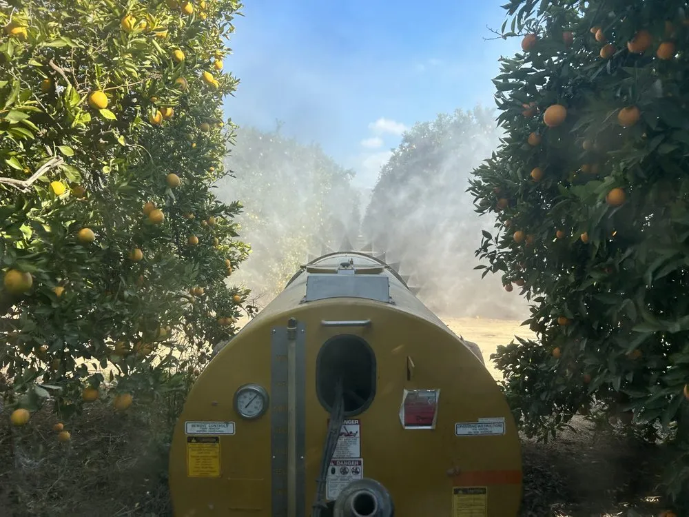 Custom lawn mowing service for outdoor upgrades across Riverside, CA - AG IPM