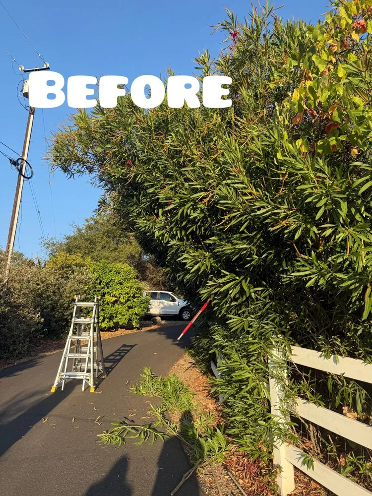 Custom garden landscaping for homes across Auburn, CA - AG Landscape