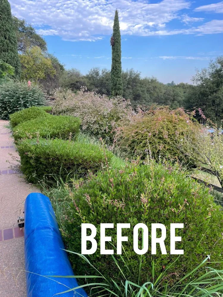 Reliable yard cleanup service in Auburn, CA by AG Landscape