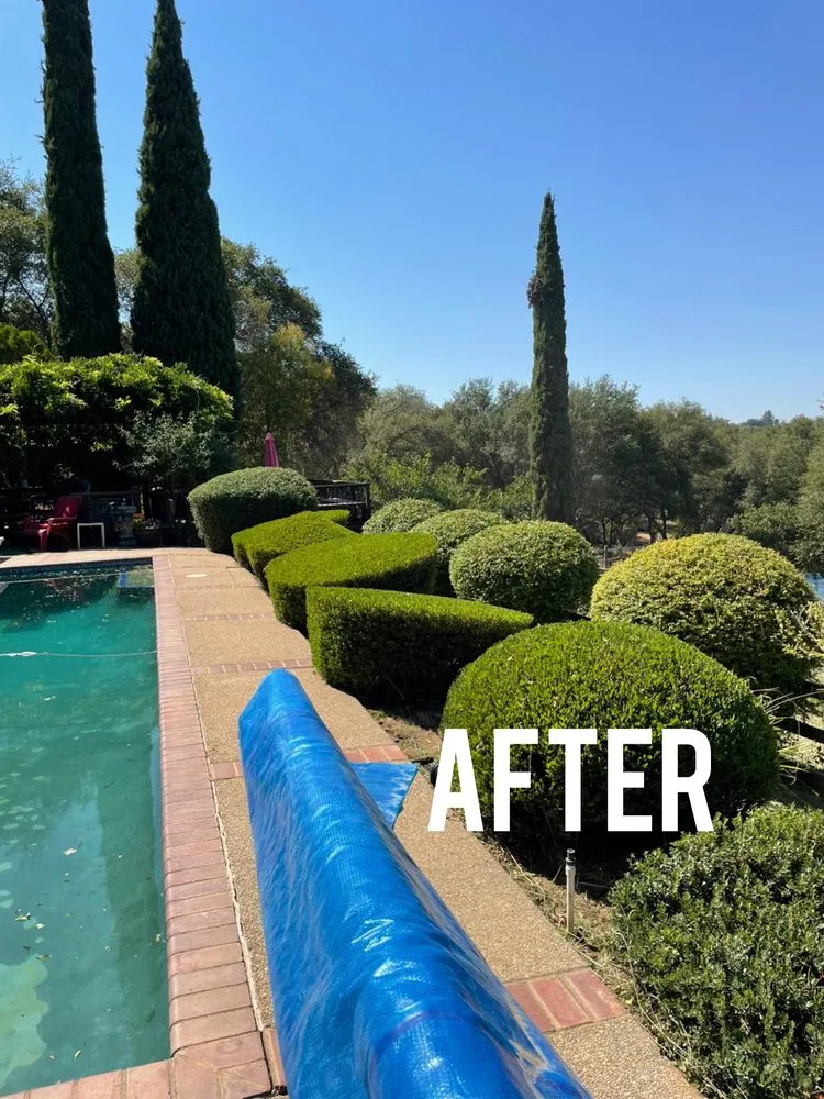 Professional lawn care service experts serving Auburn, CA - AG Landscape