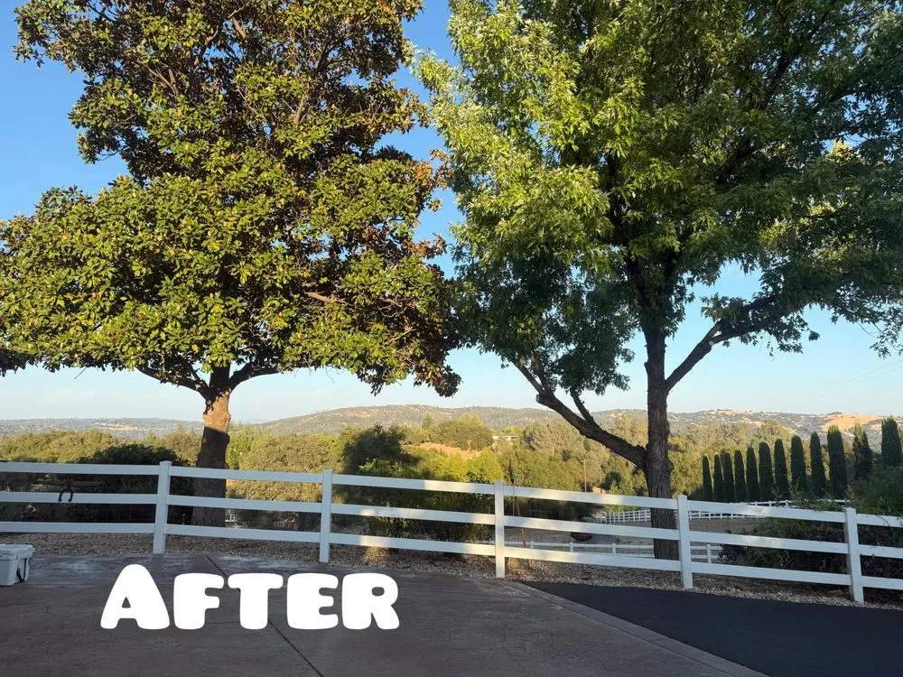 Expert lawn mowing service for outdoor upgrades across Auburn, CA - AG Landscape